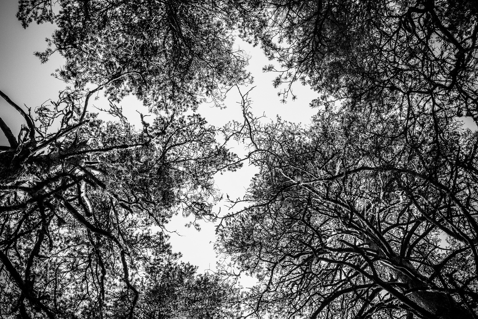 Export x3 5D4 6960 Ferien 2017 Schweden